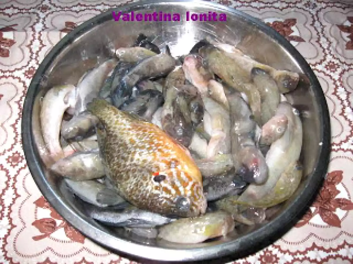 GUVIZI DE APA DULCE PRAJITI - poza 2