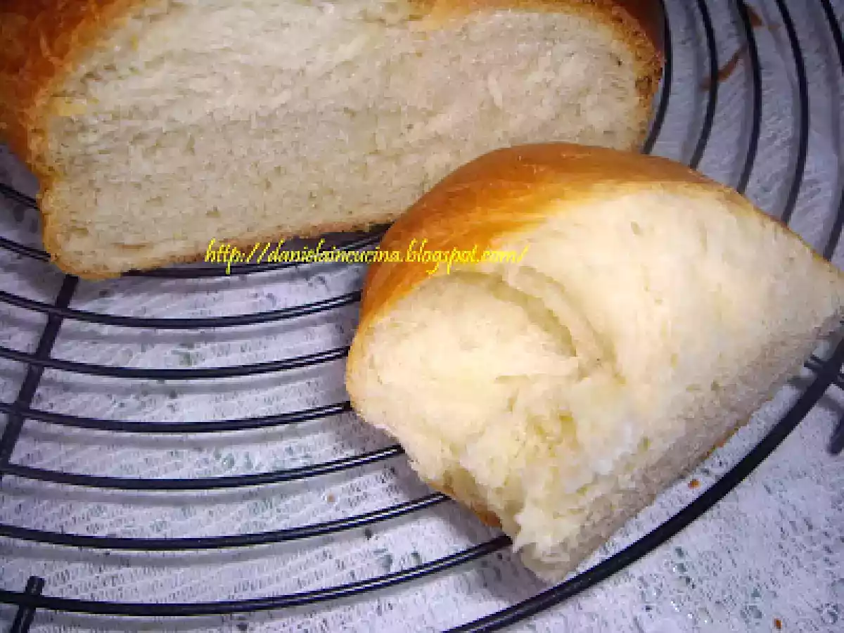 Piine impletita elvetiana - poza 2