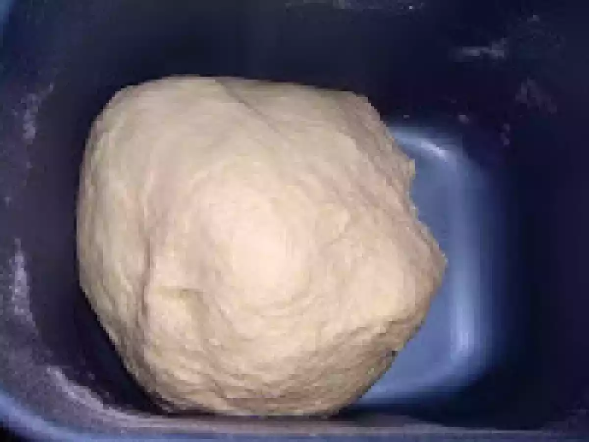 Piine impletita elvetiana - poza 5