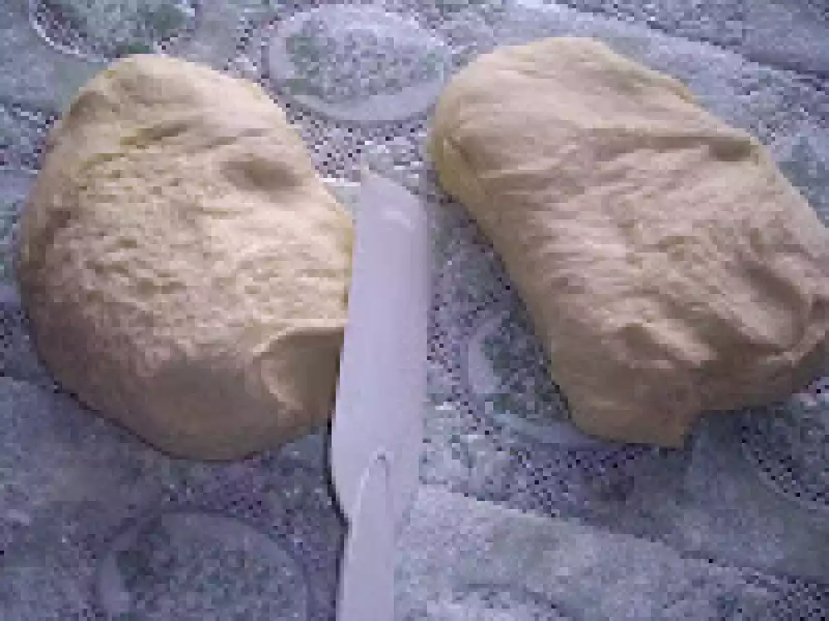 Piine impletita elvetiana - poza 6