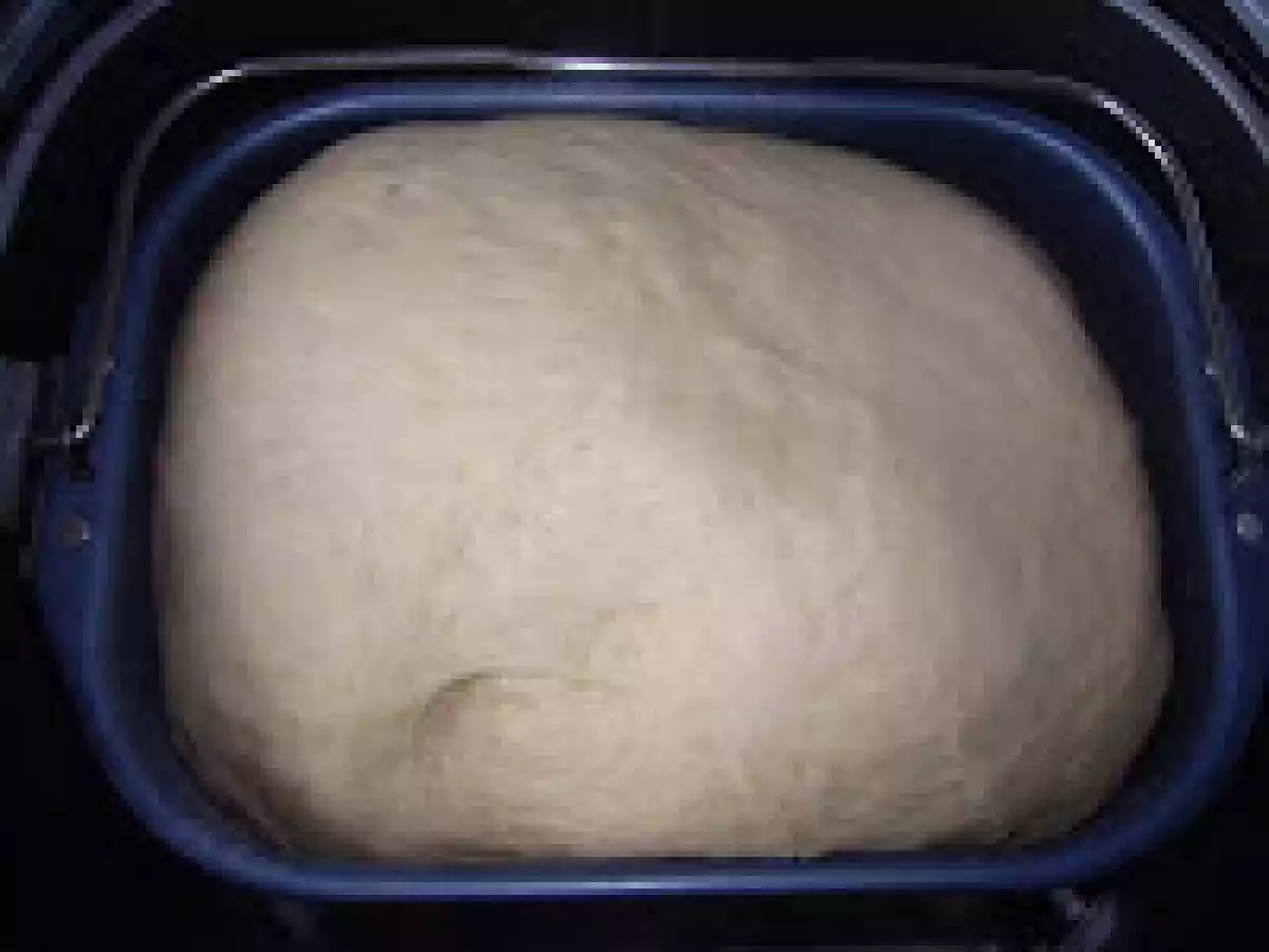 Piine impletita elvetiana - poza 7