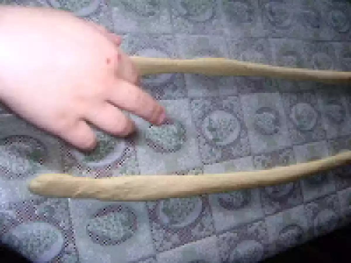 Piine impletita elvetiana - poza 8