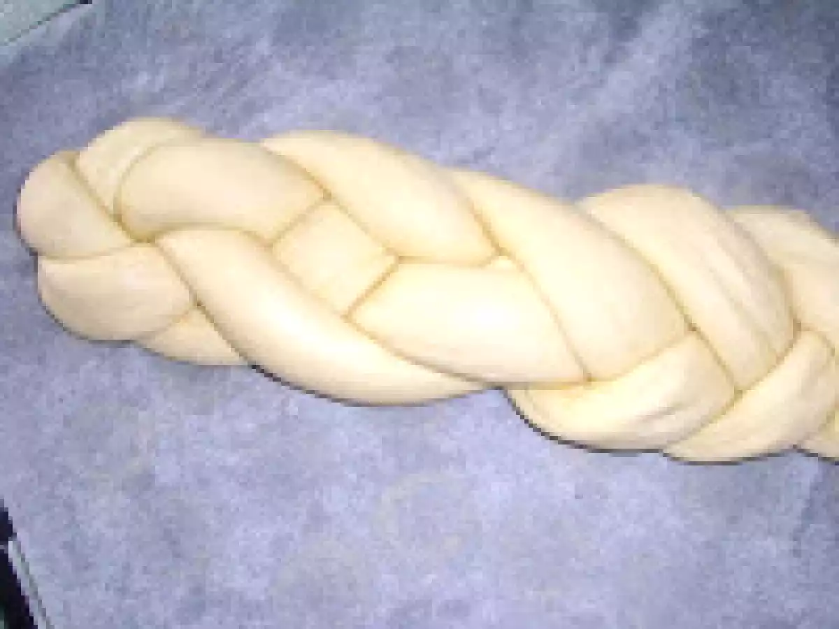 Piine impletita elvetiana - poza 11