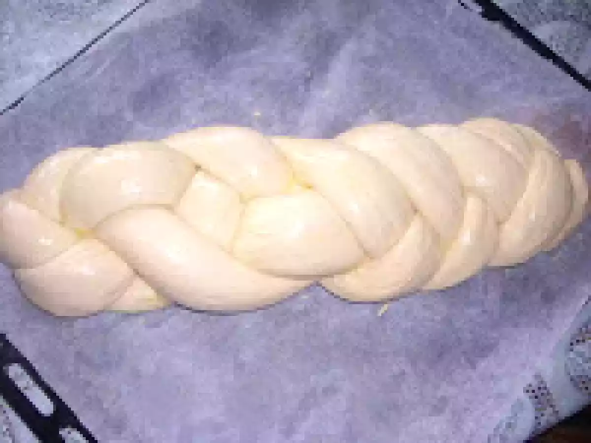 Piine impletita elvetiana - poza 12