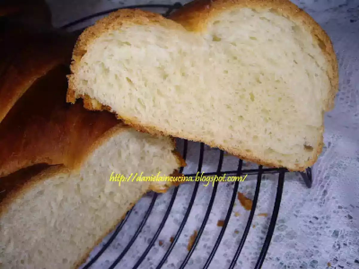 Piine impletita elvetiana - poza 14